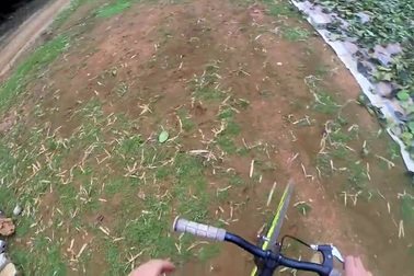 Vẻ đẹp non nước Việt Nam qua ống kính khách du lịch ngoại quốc