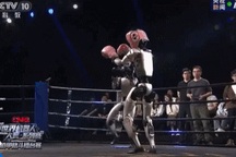 Robot hình người lần đầu thượng đài đấu võ: gay cấn, kịch tính và hài hước