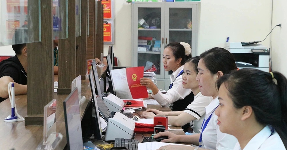 dantri.com.vn