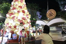 Người dân trên cả nước nô nức đón lễ Giáng sinh