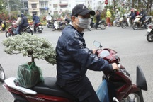 Phiên chợ Bưởi cuối cùng trong năm mang dấu ấn văn hóa Hà Nội xưa