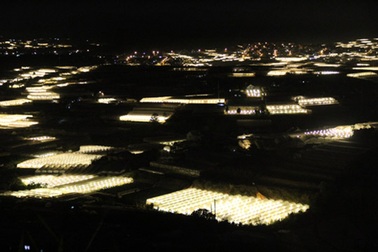 Choáng ngợp với “kinh đô ánh sáng” ở ngoại thành Đà Lạt