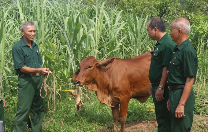 “Uống nước nhớ nguồn” - đạo lý truyền thống của dân tộc - Ảnh 2.