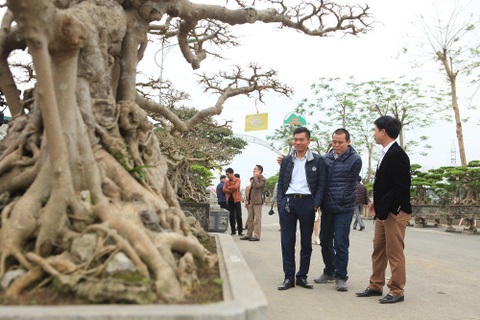 Tuyệt phẩm sanh cổ của đại gia Hưng Yên "hét giá" 30 tỷ gây xôn xao dư luận