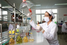 Ưu tiên, tạo cơ chế đầu tư cho nhóm nghiên cứu mạnh trong trường đại học