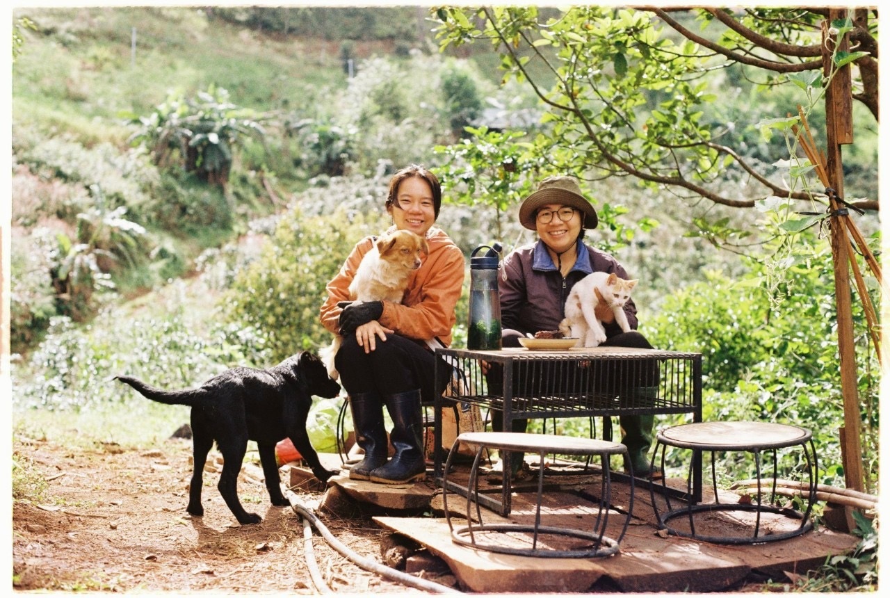 Bán chung cư, đôi bạn "bỏ phố về vườn" ở Đà Lạt, tự dựng nhà sống chữa lành  | Báo Dân trí