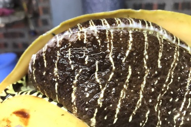 Ốc tu lơn là con gì mà nửa triệu/kg, 6 người ăn không hết?