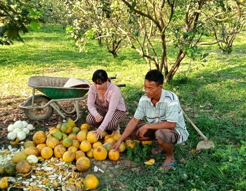 Phát huy vai trò phụ nữ từ dòng vốn tín dụng chính sách ở Đồng Nai - 1 Phát huy vai trò phụ nữ từ dòng vốn tín dụng chính sách ở Đồng Nai - 1