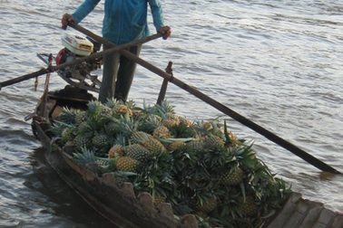 Đi chợ nổi Cái Răng ngày cuối năm