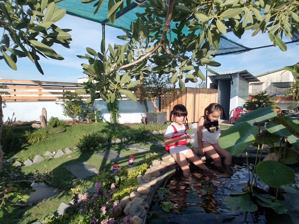Ông bố 2 con ở Đà Nẵng “làm vườn, nuôi cá” đẹp mê trên sân thượng nhà phố - 10 Ông bố 2 con ở Đà Nẵng “làm vườn, nuôi cá” đẹp mê trên sân thượng nhà phố - 10