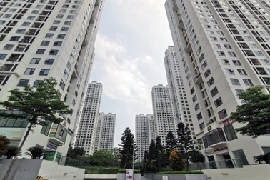 Sở hữu chung cư có thời hạn khiến giá đất cao, tăng "phân lô bán nền"