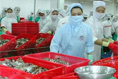 Tôm sang Mỹ sẽ được hưởng thuế suất 0%