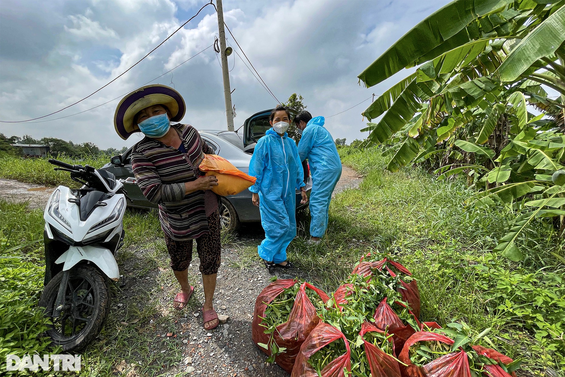 Hàng nghìn bó rau nghĩa tình gửi tặng người dân vùng dịch ở TPHCM - 8