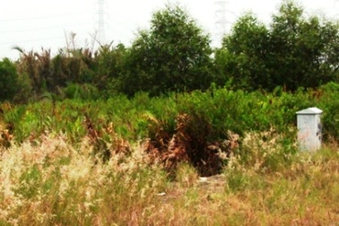 Giải mã vụ án “xác chết dưới mương nước”