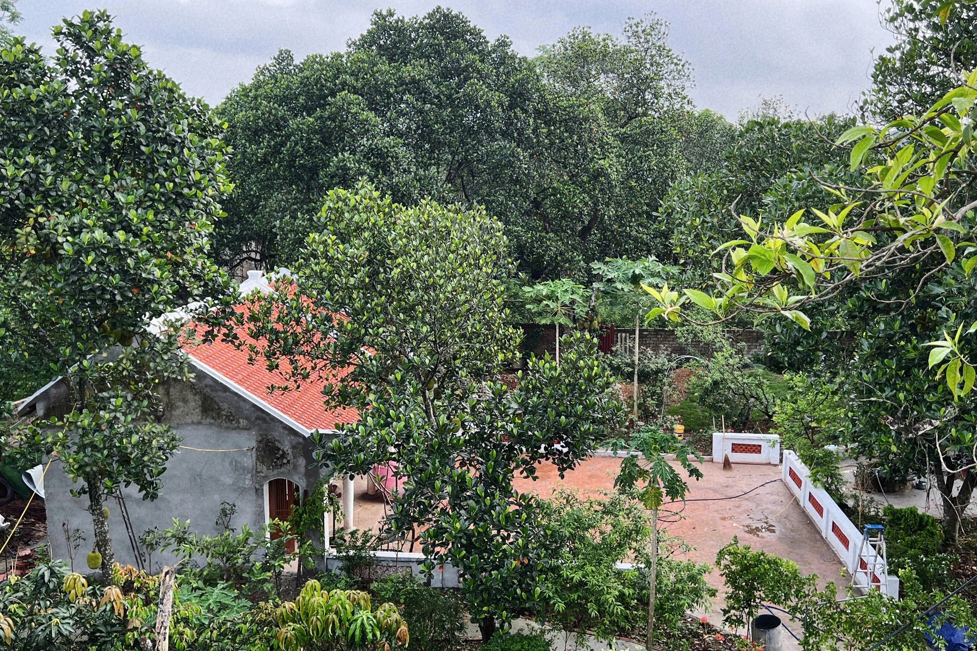 Căn nhà xây năm 1985 lột xác chỉ với 50 triệu đồng khiến hàng xóm trầm trồ - 14 Căn nhà xây năm 1985 lột xác chỉ với 50 triệu đồng khiến hàng xóm trầm trồ - 14