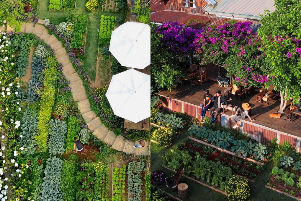 Cô gái còn 1/3 lá phổi, bỏ phố về Đà Lạt xây nhà gỗ và khu vườn như cổ tích - 3 Cô gái còn 1/3 lá phổi, bỏ phố về Đà Lạt xây nhà gỗ và khu vườn như cổ tích - 3