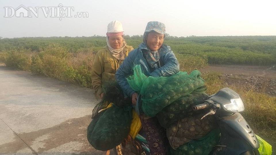 Rét buốt lội bùn săn ngao to bự, béo ngậy, kiếm 500 ngàn đồng/ngày - 1 Rét buốt lội bùn săn ngao to bự, béo ngậy, kiếm 500 ngàn đồng/ngày - 1