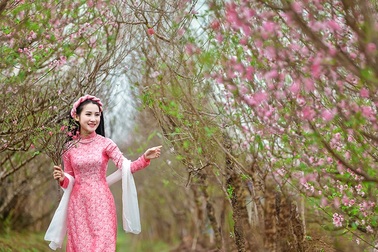 Chính phủ chốt 9 ngày nghỉ Tết Nguyên đán Nhâm Dần