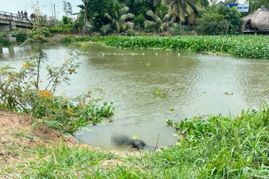 Tìm thân nhân người đàn ông tử vong dưới kênh ở Tây Ninh