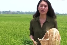 Nghịch lý đào tạo nghề nông thôn