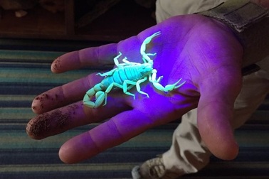 17 sự thật khoa học thú vị nhà trường không dạy cho bạn