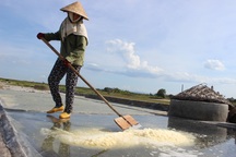 Hà Tĩnh: Có một nghề "cướp" nắng với trời!