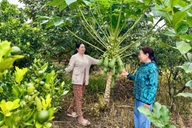 Đồng Nai hướng tới nông thôn mới hiện đại, tăng tốc cho giai đoạn mới