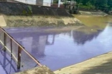 Nước kênh đổi màu tím bất thường ở Thanh Hóa