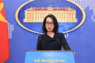 Xung đột tại Dải Gaza: Việt Nam kêu gọi các bên ngừng bắn ngay lập tức