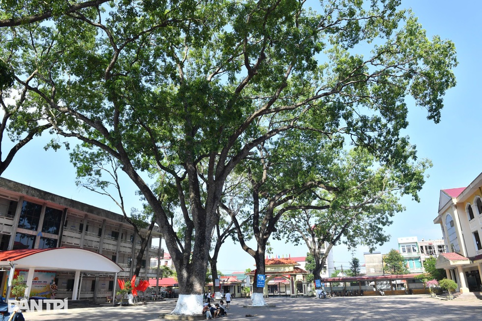 Từ lớp học tranh tre đến nơi ươm mầm học sinh giỏi - 6 Từ lớp học tranh tre đến nơi ươm mầm học sinh giỏi - 6