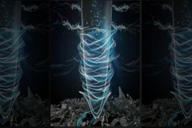 Cảnh báo nguy cơ nhựa nano có thể tích lũy trong rễ cây