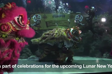 Thợ lặn múa lân dưới nước để chào đón năm mới