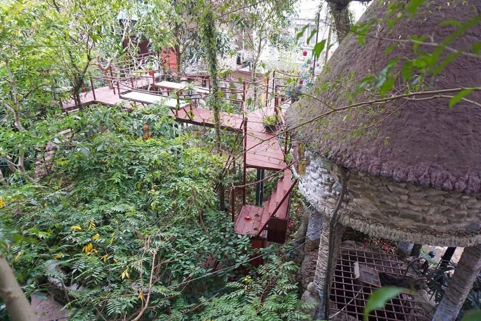 Kỳ lạ quần thể nhà xây dựng trên cây cổ thụ trăm tuổi độc nhất Hà Nội - 1 Kỳ lạ quần thể nhà xây dựng trên cây cổ thụ trăm tuổi độc nhất Hà Nội - 1