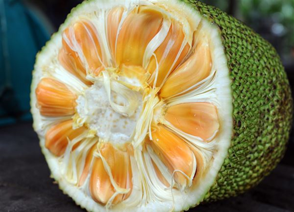 Giàu lên nhờ lấy mít làm… thịt chay - 1 Giàu lên nhờ lấy mít làm… thịt chay - 1