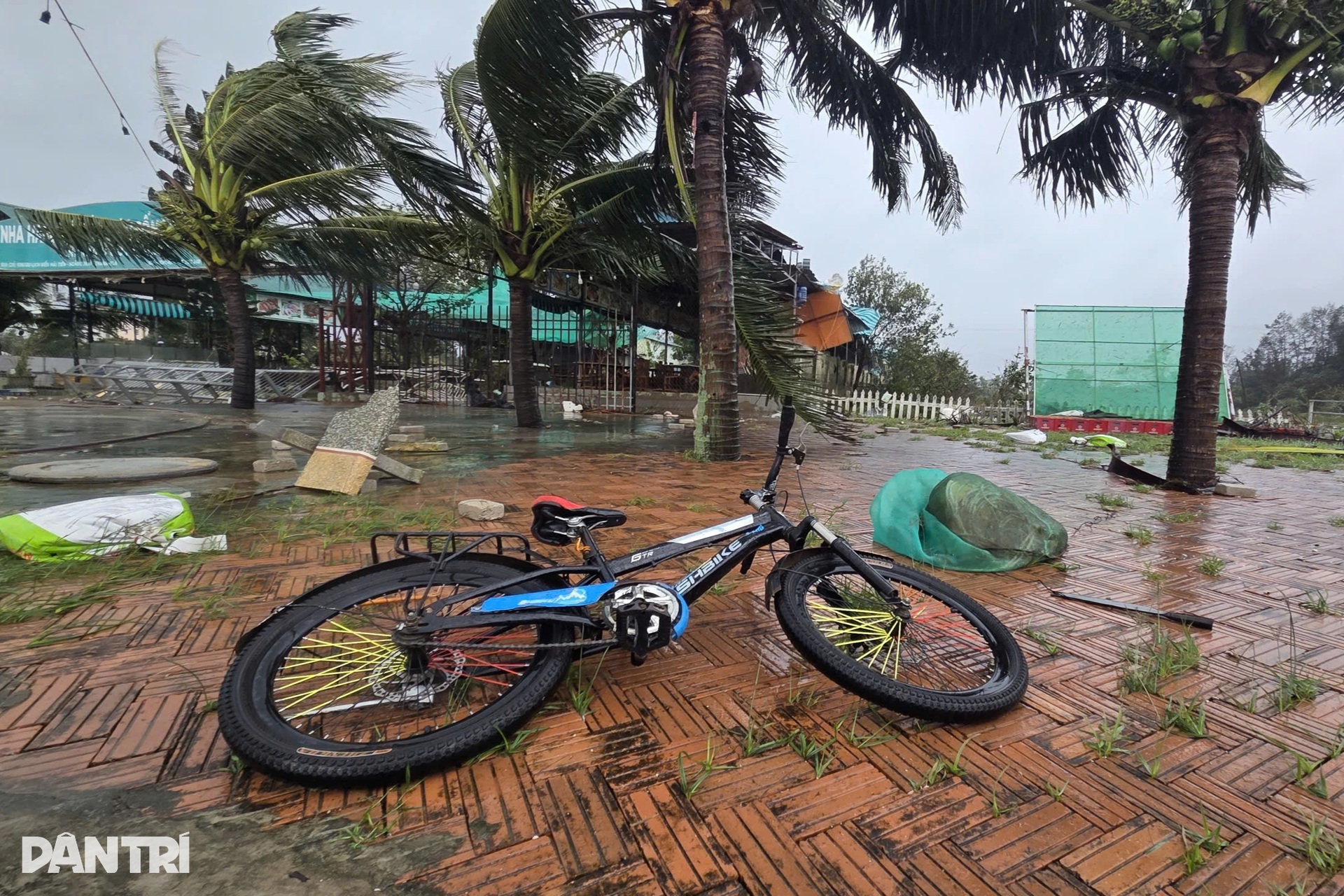 Bão Bualoi gây hư hỏng hàng loạt ô tô, xe máy - 7 Bão Bualoi gây hư hỏng hàng loạt ô tô, xe máy - 7