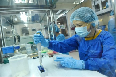 Sáng 24/6, thêm 42 ca Covid-19, Việt Nam gần chạm mốc 14.000 bệnh nhân