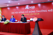 CEO Nguyễn Hoàng Linh: 'Không có trường hợp MSB sáp nhập PGBank'