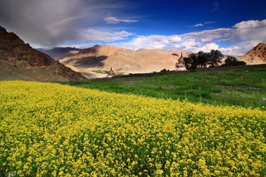 Những hình ảnh khiến bạn muốn tới Ấn Độ tức thì