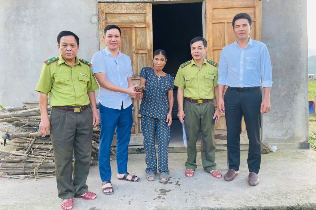 Rùa sa nhân quý hiếm bò vào vườn nhà dân - 1