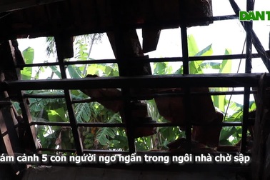 Cám cảnh 6 con người ngơ ngẩn trong ngôi nhà chờ sập
