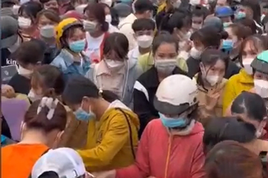 Hàng trăm lao động chen chân nộp hồ sơ xin việc