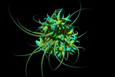 Nghệ thuật lung linh cùng virus