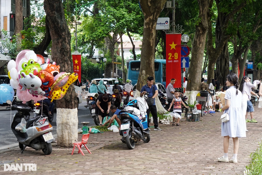 Hà Nội: Đường Phan Đình Phùng như phố đi bộ vì dòng người đổ về chụp ảnh - 4