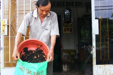 Khốn đốn vì loài bọ đen “diệt kiểu gì cũng không chết”