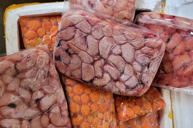 Gần 24 tấn bò, gà hôi thối suýt lên bàn nhậu ở TPHCM, Đồng Nai