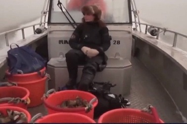 Cô gái Thụy Điển theo đuổi nghề săn hàu ngon nhất thế giới