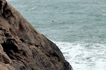 Vụ tàu cá va đá ngầm: Huy động thợ lặn vớt thi thể thuyền trưởng