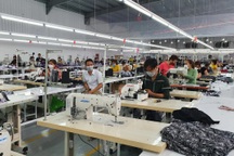 Vụ công nhân "vây" đòi lương trước Tết: Công ty tuyên bố tạm dừng hoạt động