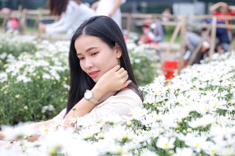 Du khách hào hứng “check – in” vườn cúc hoạ mi đầu tiên tại Đà Nẵng - 4