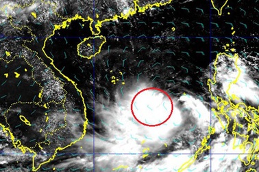 Đảm bảo an toàn cho học sinh, giáo viên trong cơn bão số 5